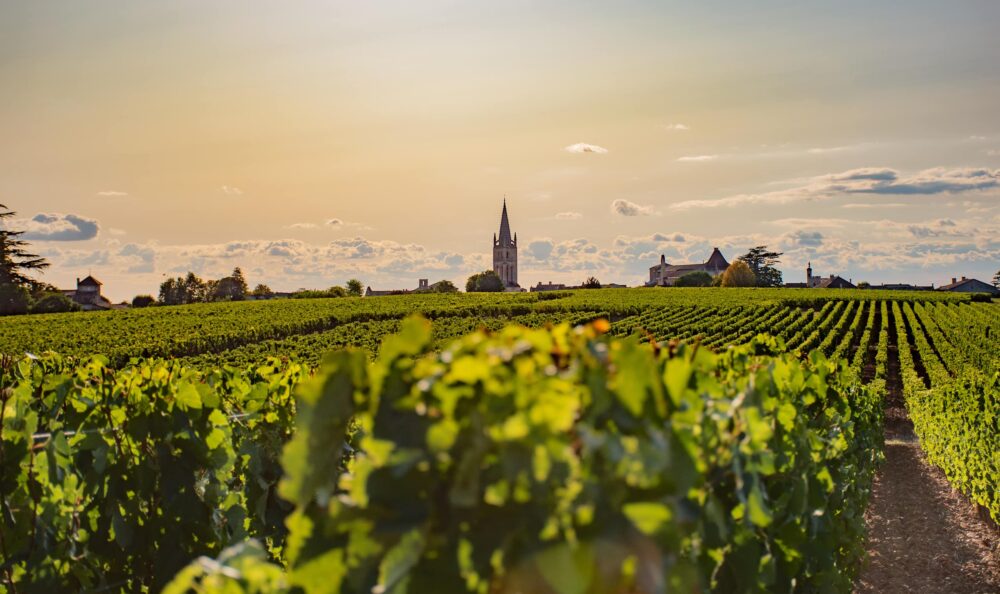 AOP Bordeaux Cuvée Traditionnelle Château Mamou